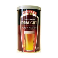 Morgans  AUSTRALIAN DRAUGHT