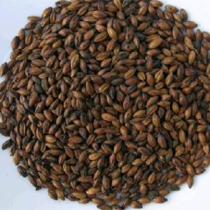 Joe White Chocolate Grain