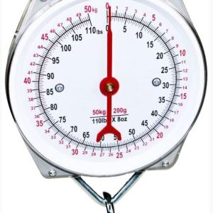 CLOCKFACE SCALES 100KG