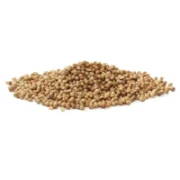 CORIANDER SEED WHOLE 1kg