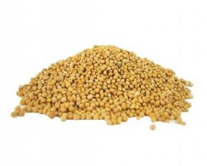MUSTARD SEED YELLOW 1kg