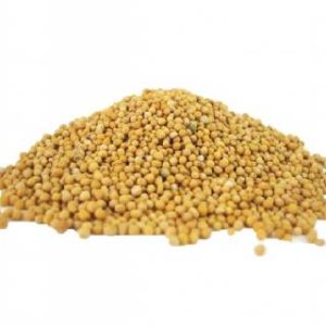 MUSTARD SEED YELLOW 1kg