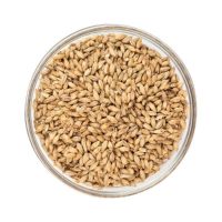 BR Brewers Malt (2 row base)