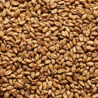 J/W Wheat malt