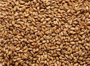 J/W Wheat malt