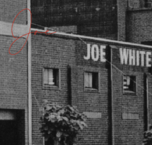 Joe White Signature Ale Malt