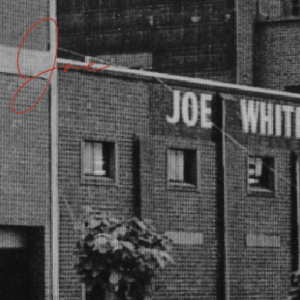 Joe White Signature Ale Malt