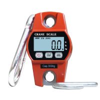 MINI CRANE SCALE 300kg