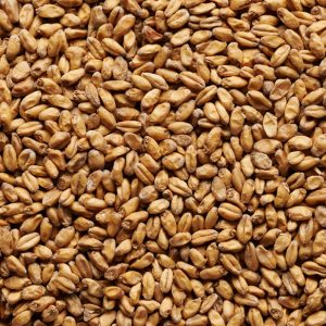 Grains